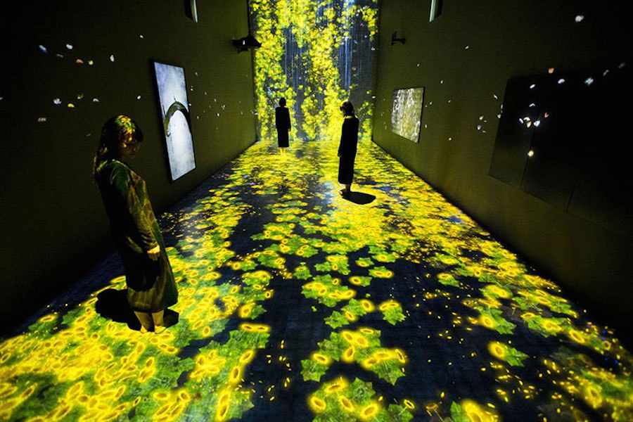 "Transcending Boundaries" by TeamLab
