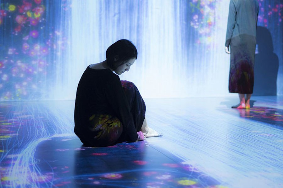 "Transcending Boundaries" by TeamLab