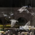 Edoardo Tresoldi @Abu Dhabi
