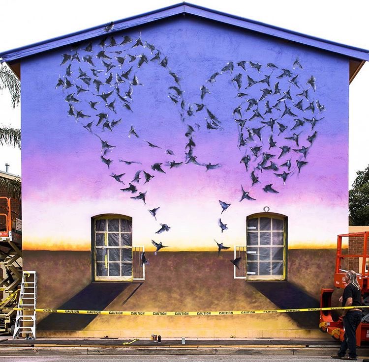 Jimmy C @Adelaide, Australia