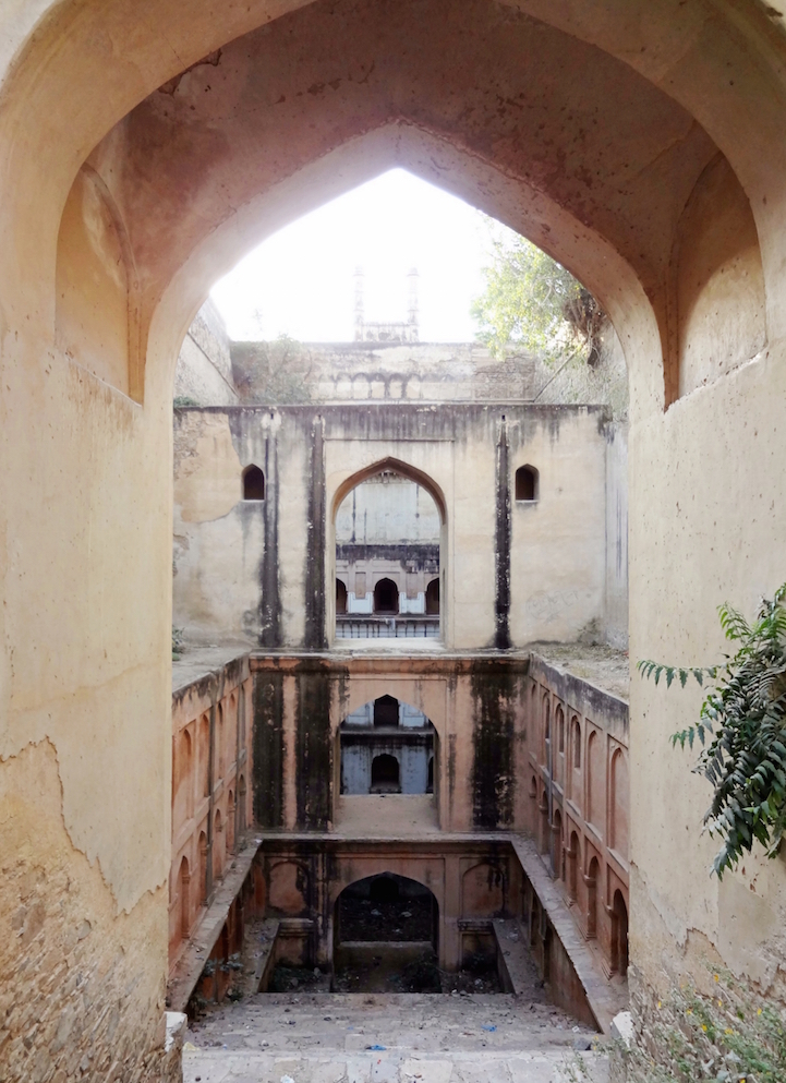 The Vanishing Stepwells of India - Victoria Lautman