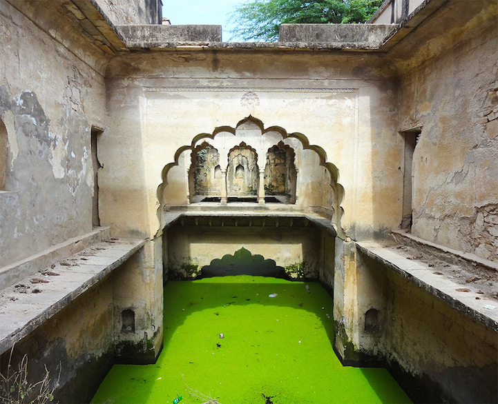 The Vanishing Stepwells of India - Victoria Lautman