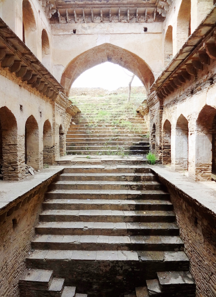 The Vanishing Stepwells of India - Victoria Lautman