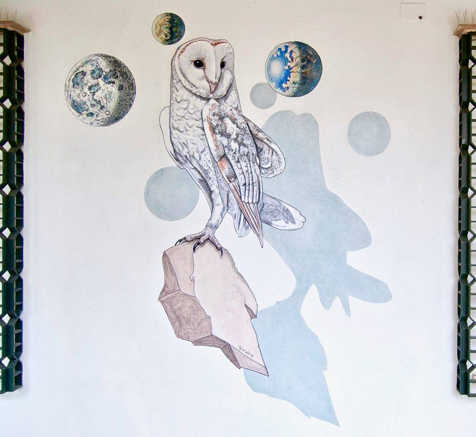 Wild Welva @Huelva, Spain