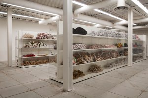 Biennale Arte 2017 - Padiglione Centrale (Giardini)- Hassan Sharif Studio (Supermarket) di Hassan Sharif (Emirati Arabi)