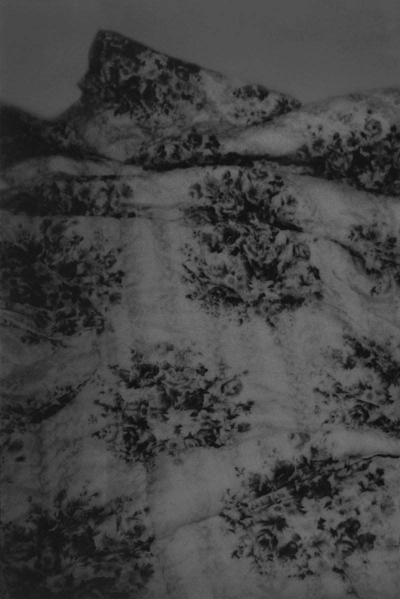 Biennale Arte 2017 - Padiglione Belgio (Giardini): Dirk Braeckman