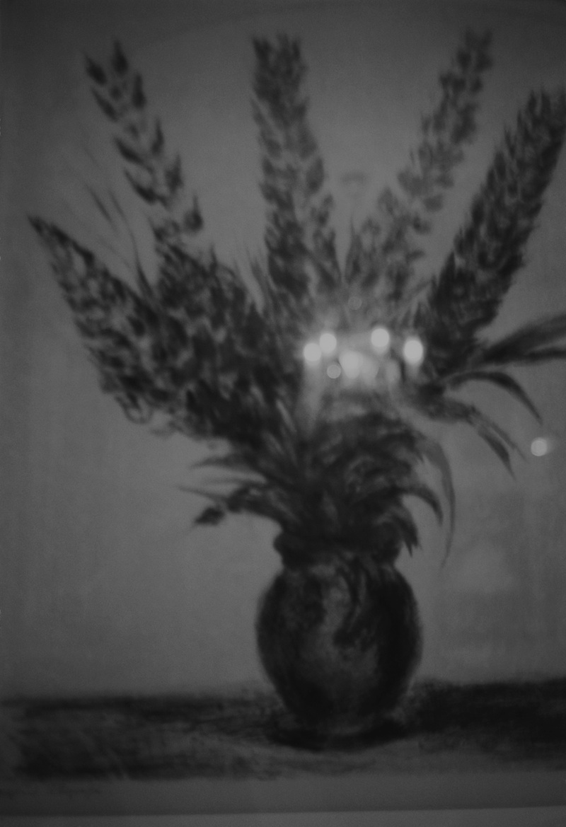 Biennale Arte 2017 - Padiglione Belgio (Giardini): Dirk Braeckman