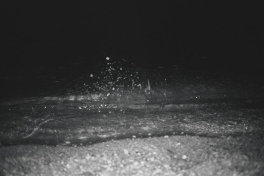 Biennale Arte 2017 - Padiglione Belgio (Giardini): Dirk Braeckman