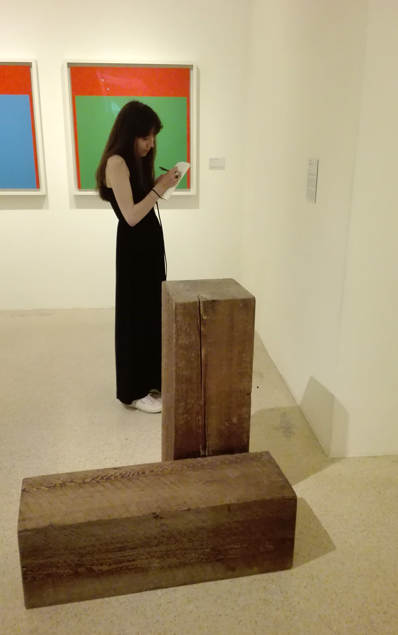 Collezione Peggy Guggenheim - Ellsworth Kelly, "Rosso verde" (1964)