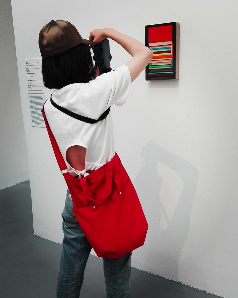 Biennale Arte 2017 - Padiglione Centrale (Giardini): Book Painting by Liu Ye (Cina)