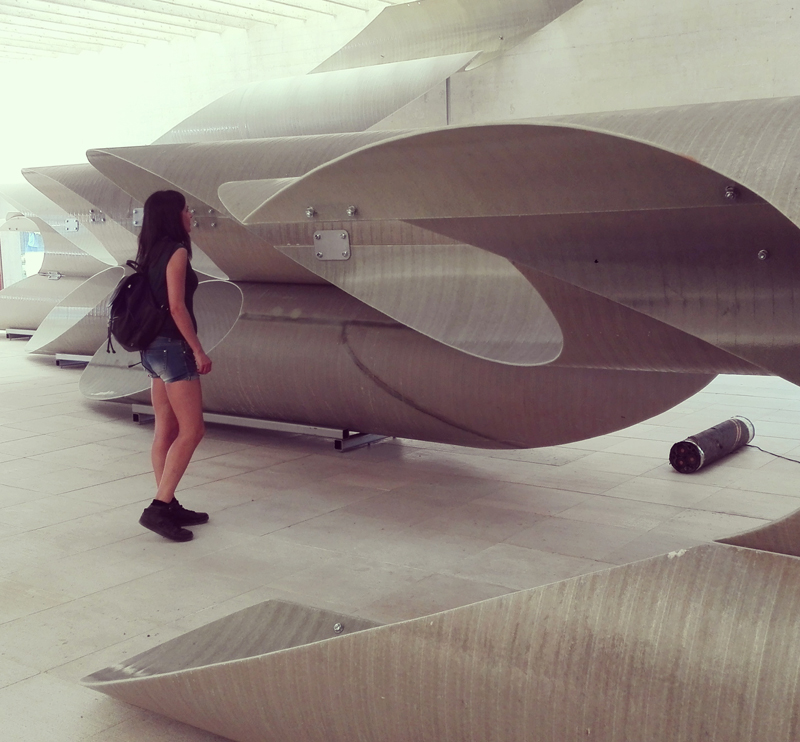 Biennale Arte 2017 - Padiglione Finlandia / Norvegia / Svezia (Giardini)