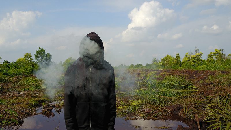Mark Jenkins @Peatland Riau - Photo Credit Ernest Zacharevic