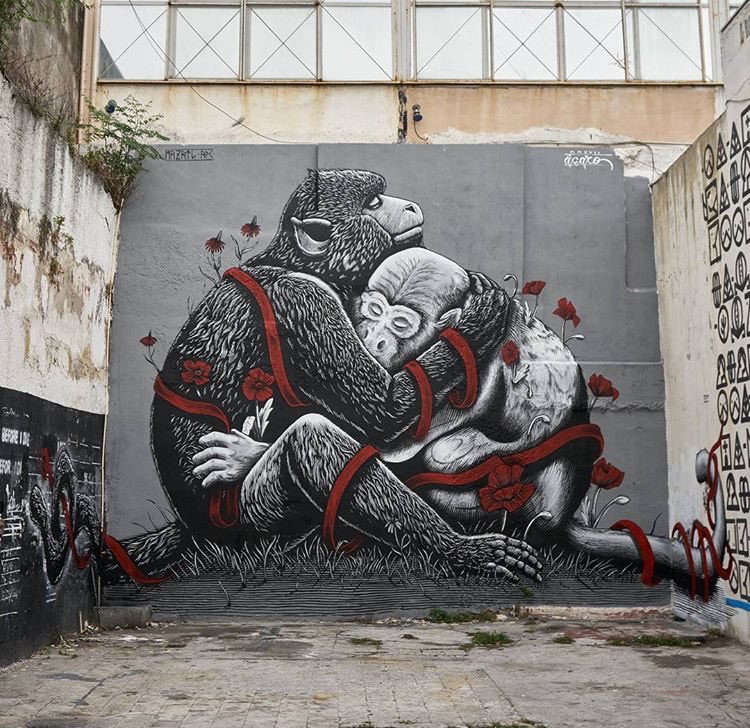 Mazatl & ácaro @Monterrey, Mexico