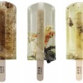 Polluted Water Popsicles