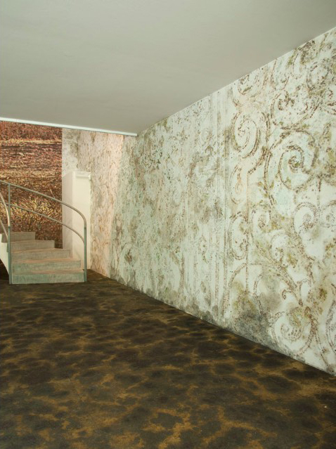 "Sun Stand Still" di Gal Weinstein