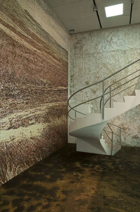 "Sun Stand Still" di Gal Weinstein