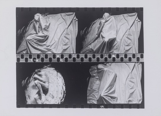 Tibor Hajas: "Húsfestmény / Flesh Painting VIII", 1978
