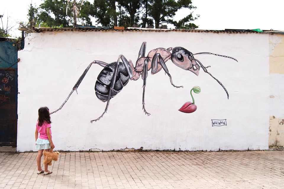 Wild Welva @Huelva, Spain