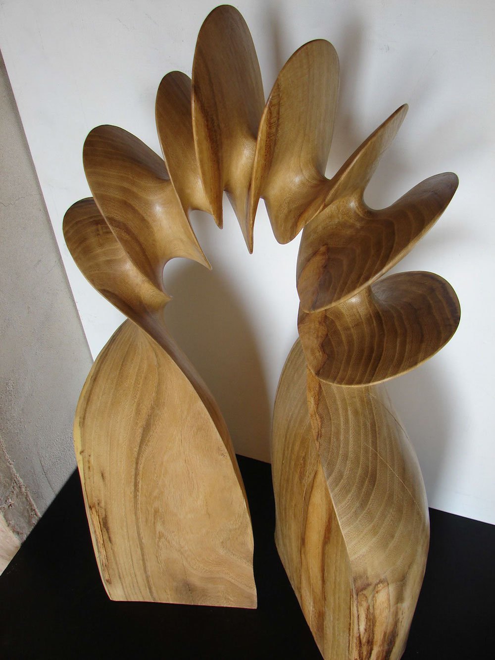 Xavier Puente Vilardell