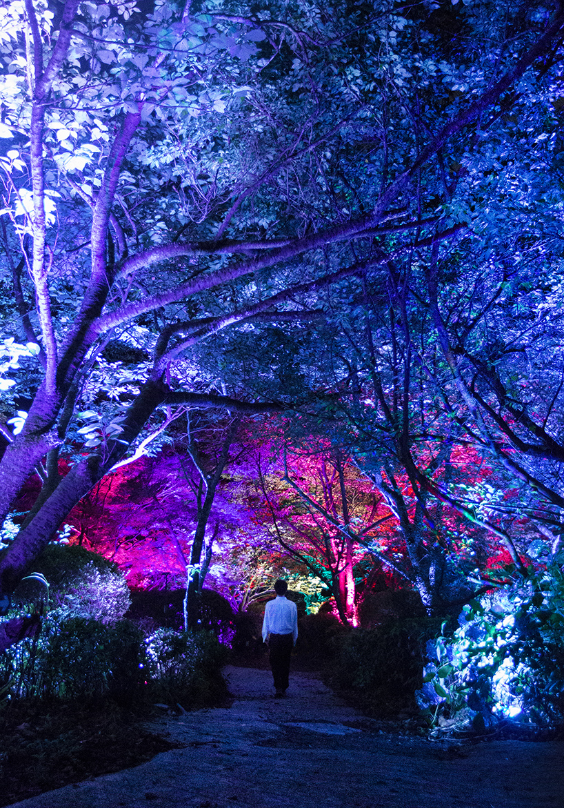 "A Forest Where Gods Live" by TeamLab