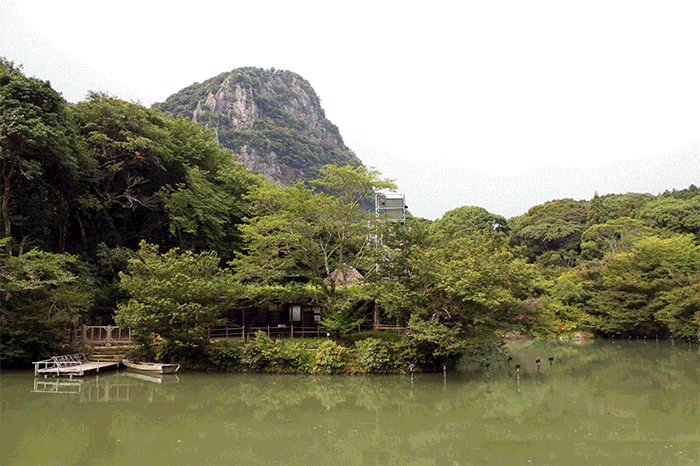 "A Forest Where Gods Live" by TeamLab