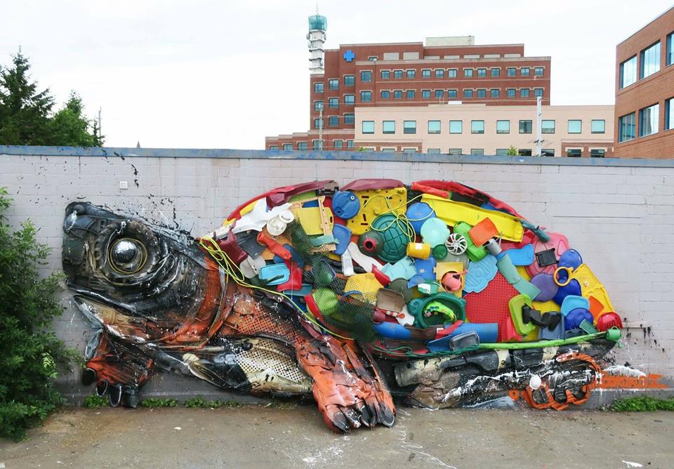 Bordalo II @Moncton, Canada