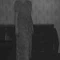 Dirk Braeckman