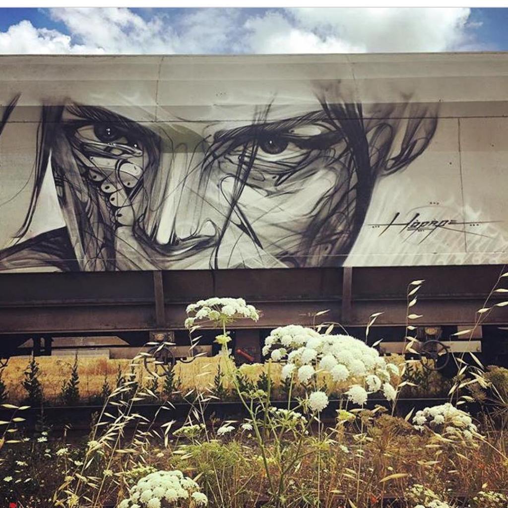 Hopare @Montana, USA