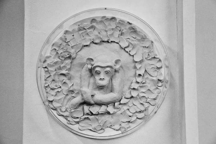 Josephine Sassu - Non farò più discendere nessuno da me (2015)