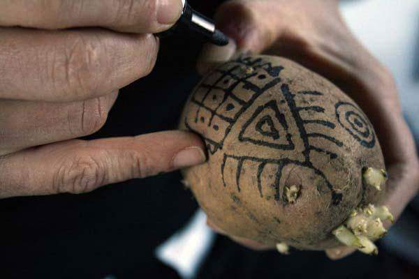 Josephine Sassu - Sto cercando di capire il senso (2014)