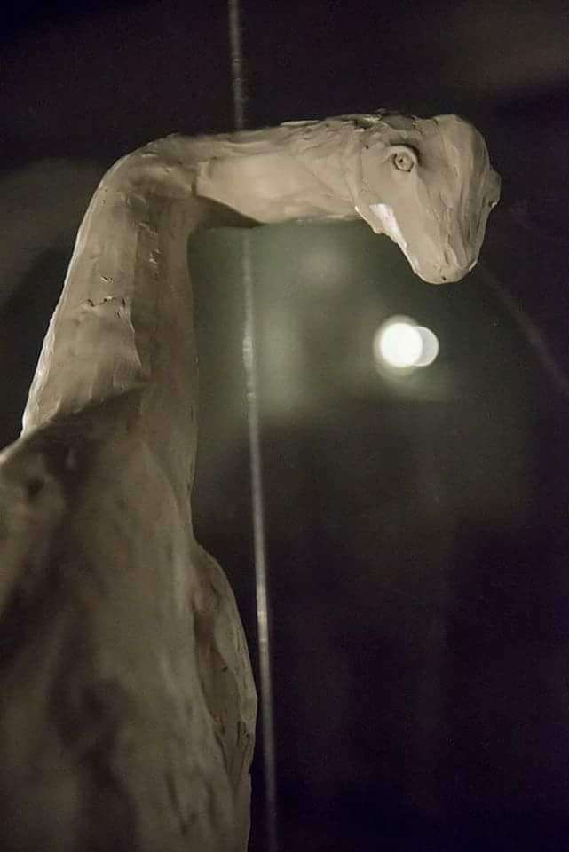 Josephine Sassu - Torno subito (2014)