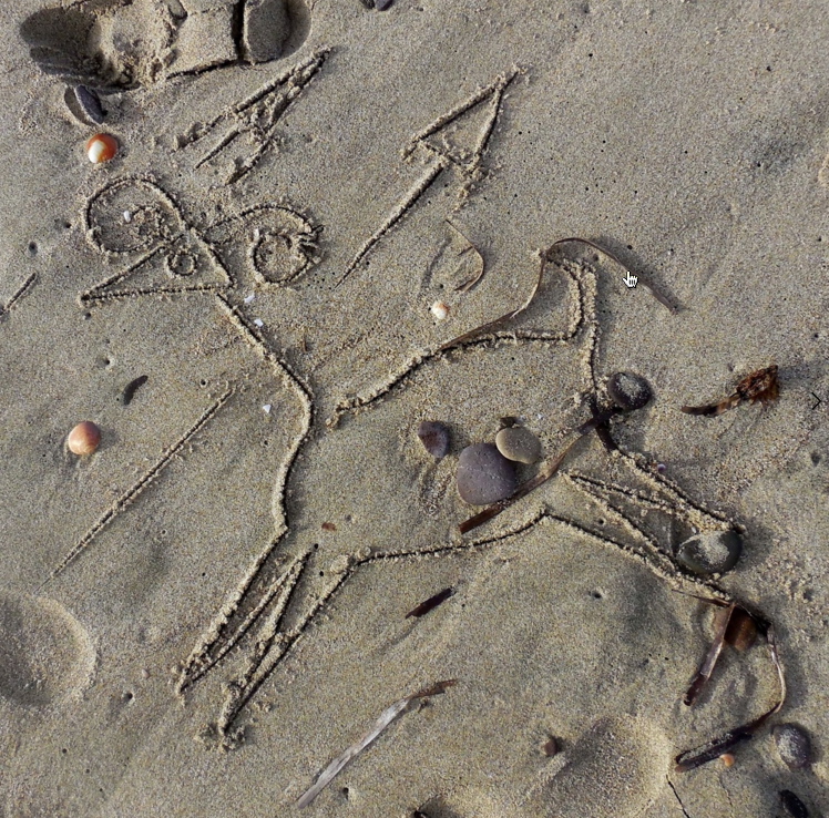Leonardo Boscani - Bestiario Effimero della Sardegna, 2015 - Sardinian mouflon