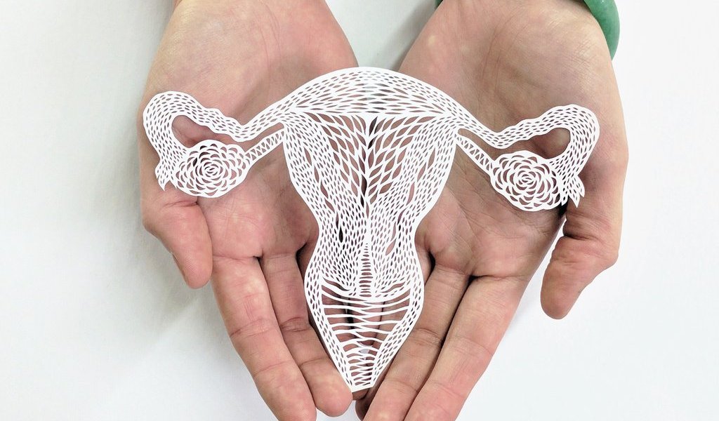 "Light & Paper" by Ali Harrison