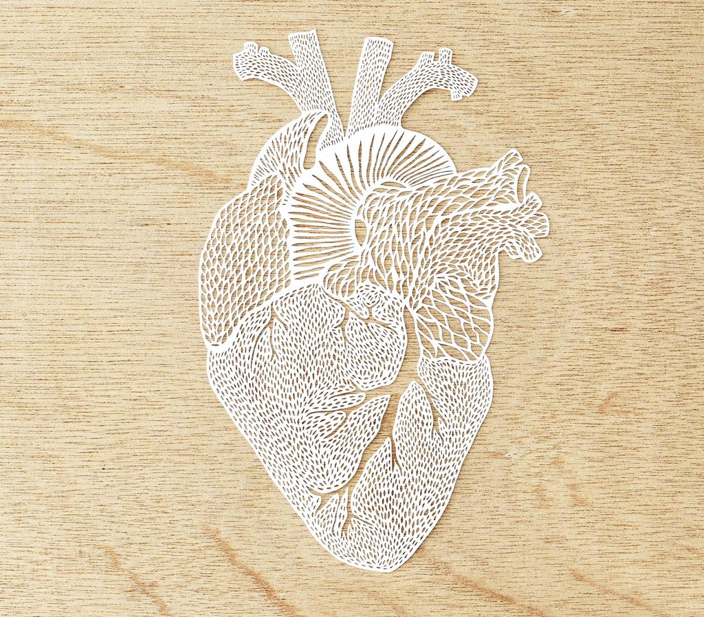 "Light & Paper" by Ali Harrison