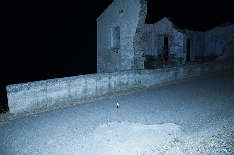 Marcello Nocera - DREAMER