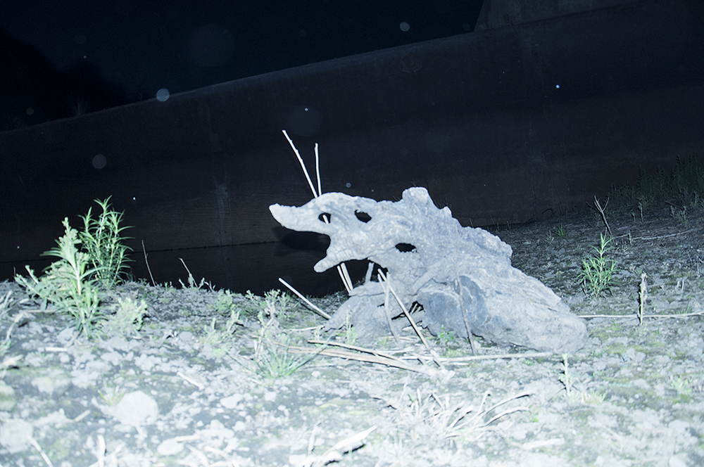 Marcello Nocera - DREAMER