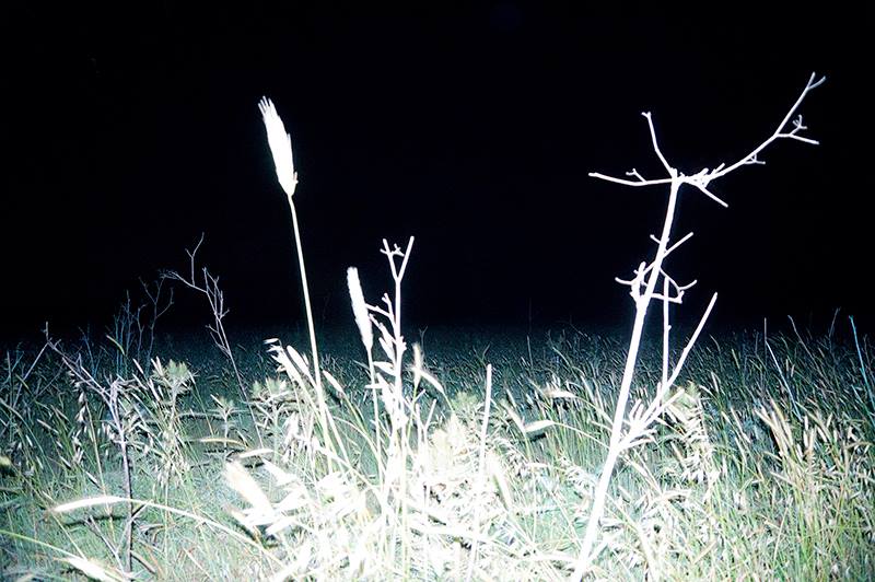 Marcello Nocera - DREAMER book 2016