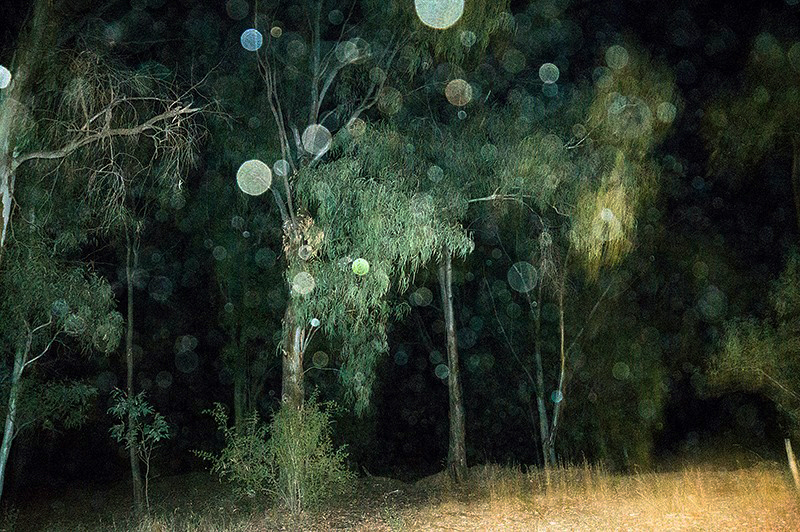 Marcello Nocera - DREAMER book 2016