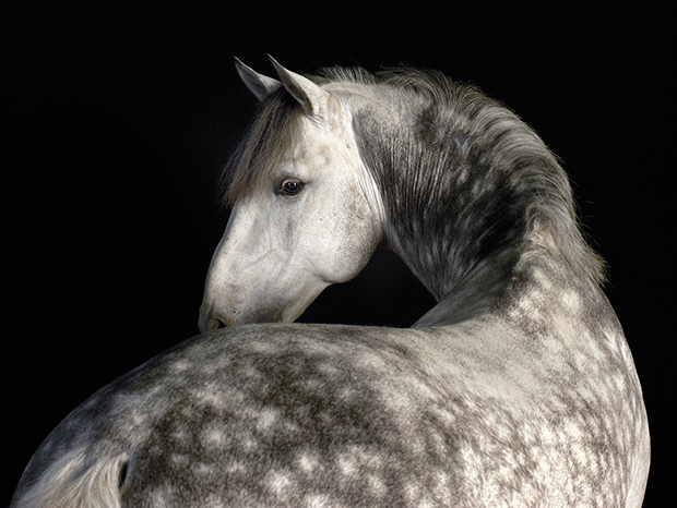 Pierre Gonnord - Vendaval, 2013