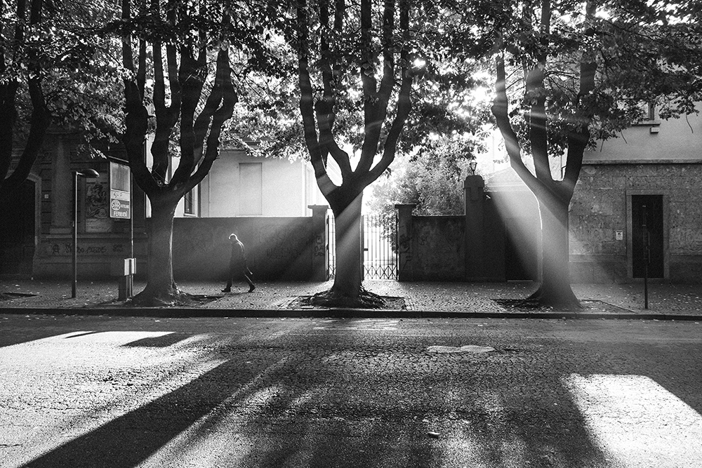 Roberto Pireddu - Lodi, 2016