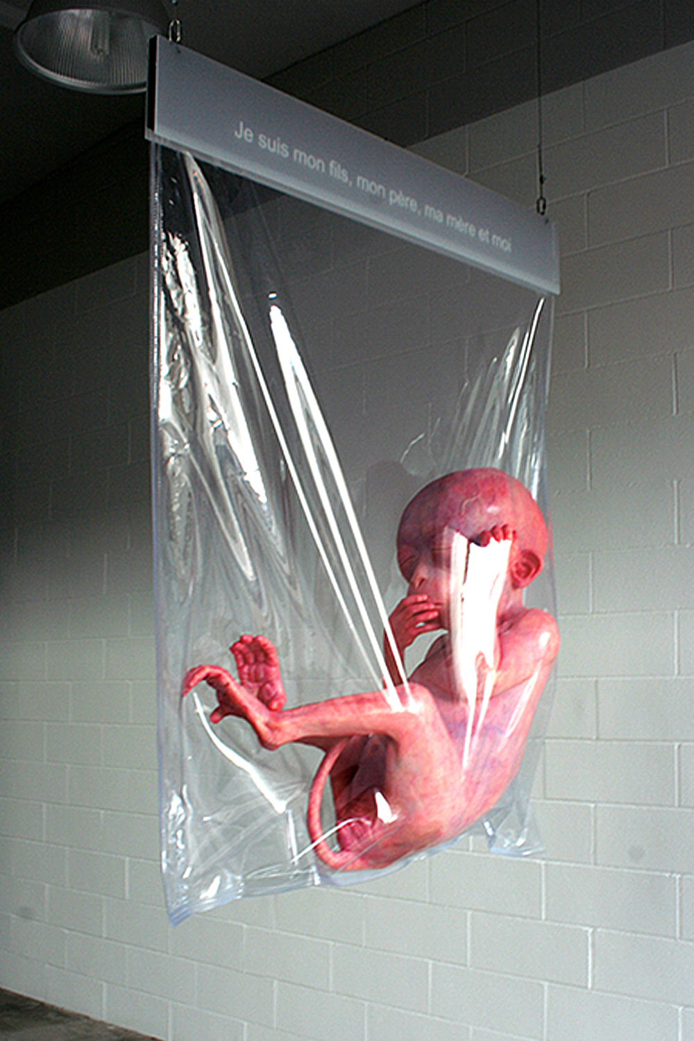 Santissimi - Je suis