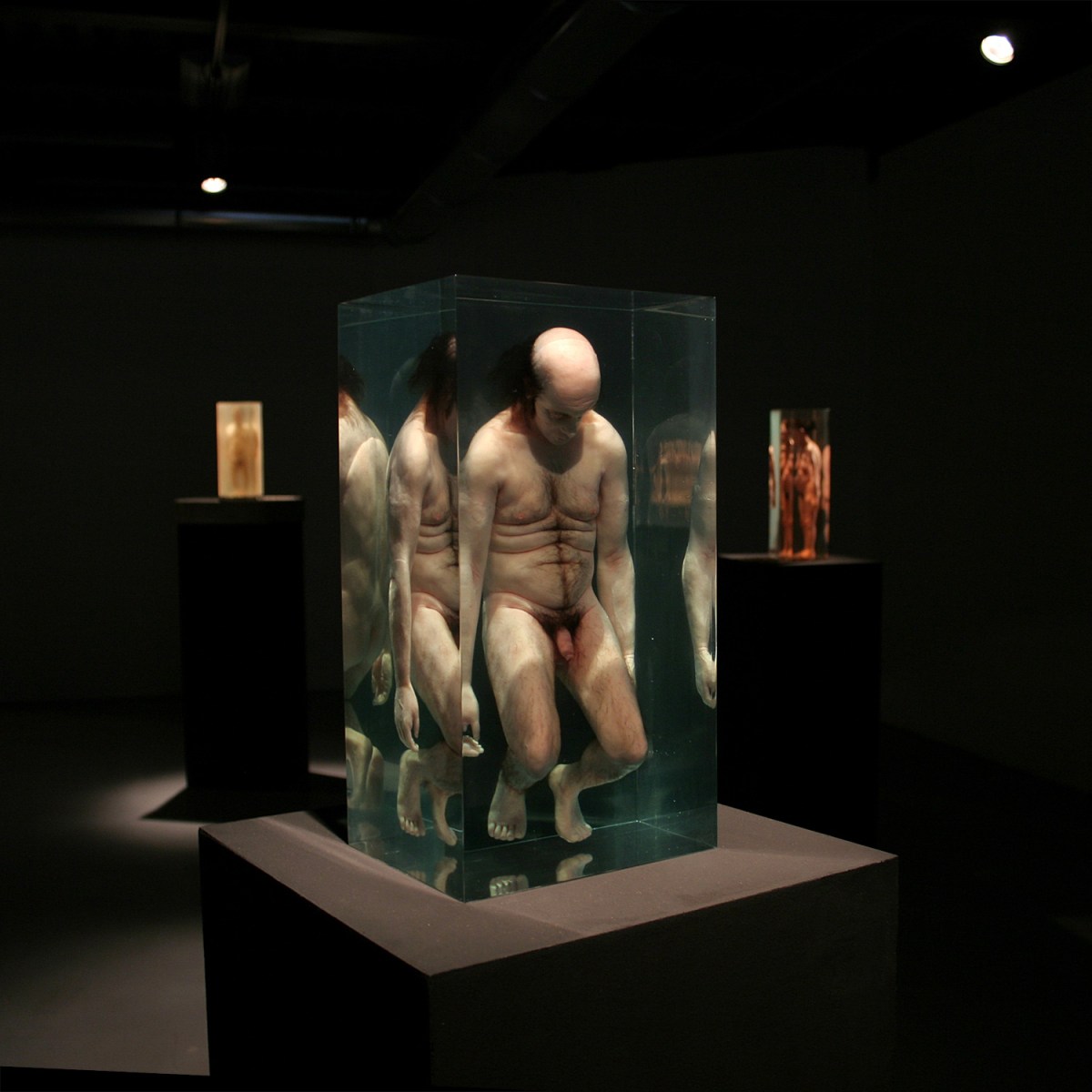 Santissimi - Natural History