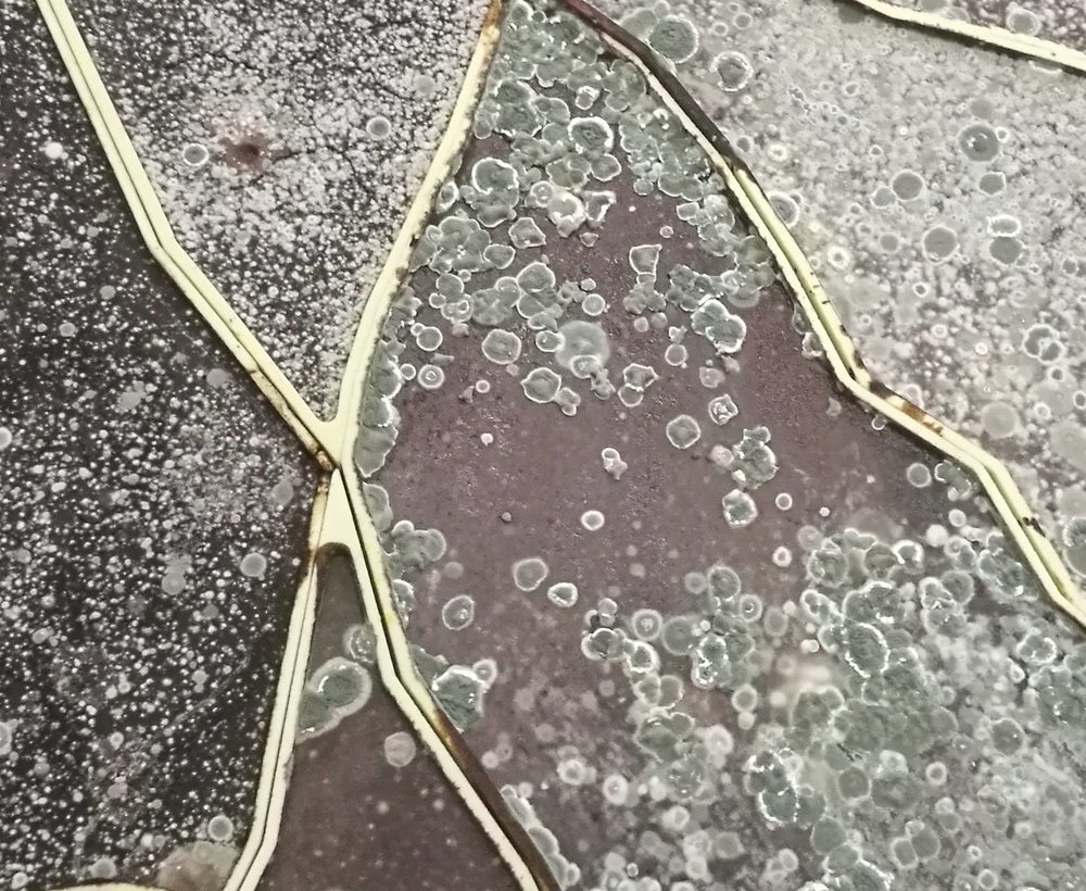 "Sun Stand Still" di Gal Weinstein