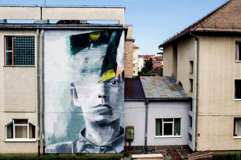 Wasp Elder @Sibiu, Romania