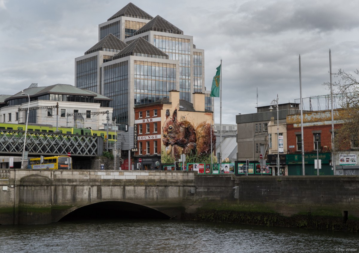 “Red Squirrel” di Bordalo II