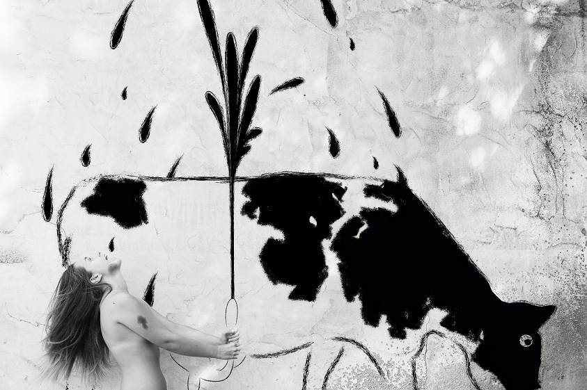 Fabio Costantino Macis - Who Cares! - The Cowgirl