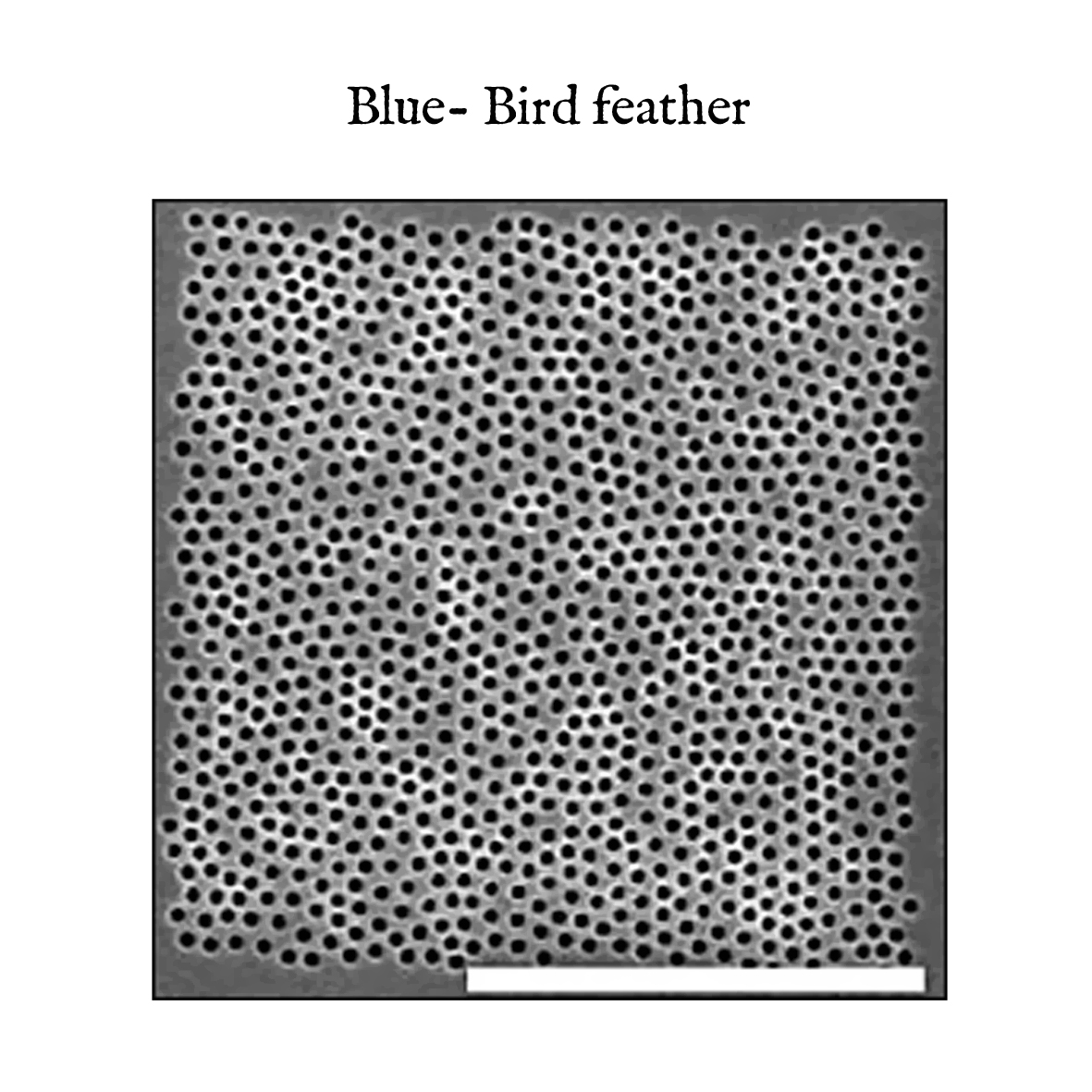 Giovanni Casu - colours explained (2014)