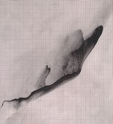 Giovanni Casu - eisen (2015-2016)