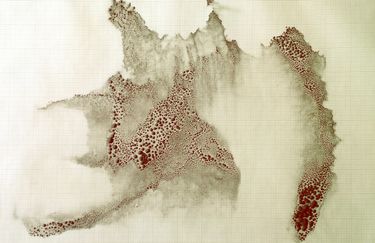 Giovanni Casu - eisen (2015-2016)