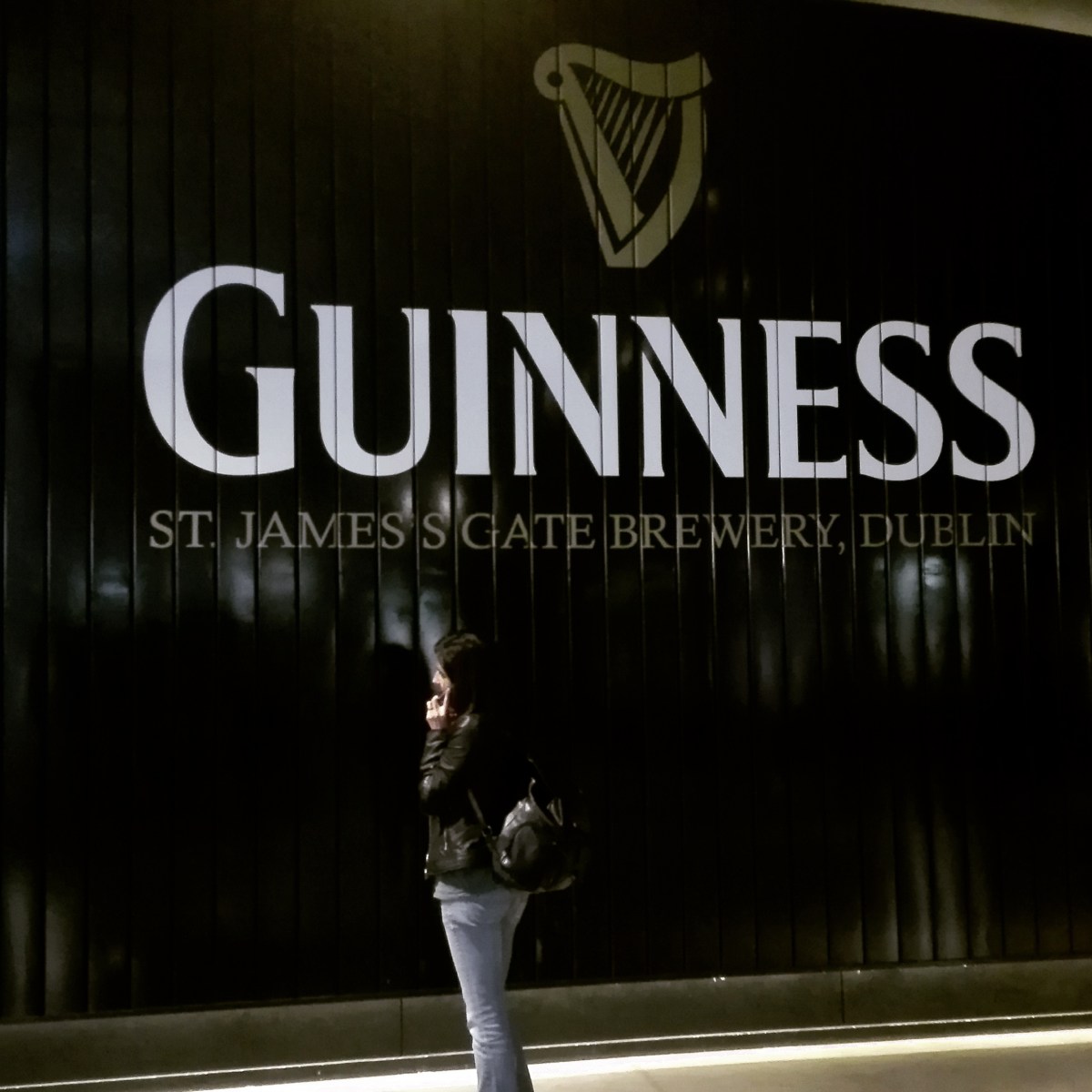 Dublino -Guiness Storehouse